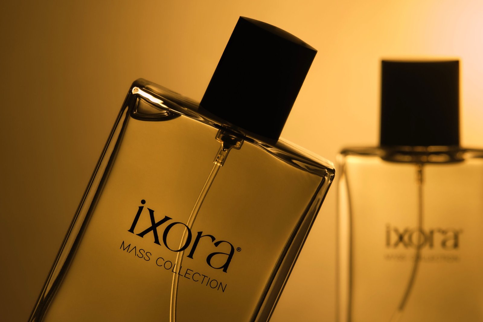 İxora — 17