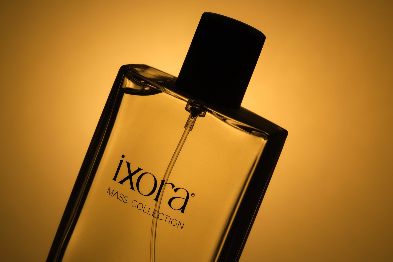 İxora — 27